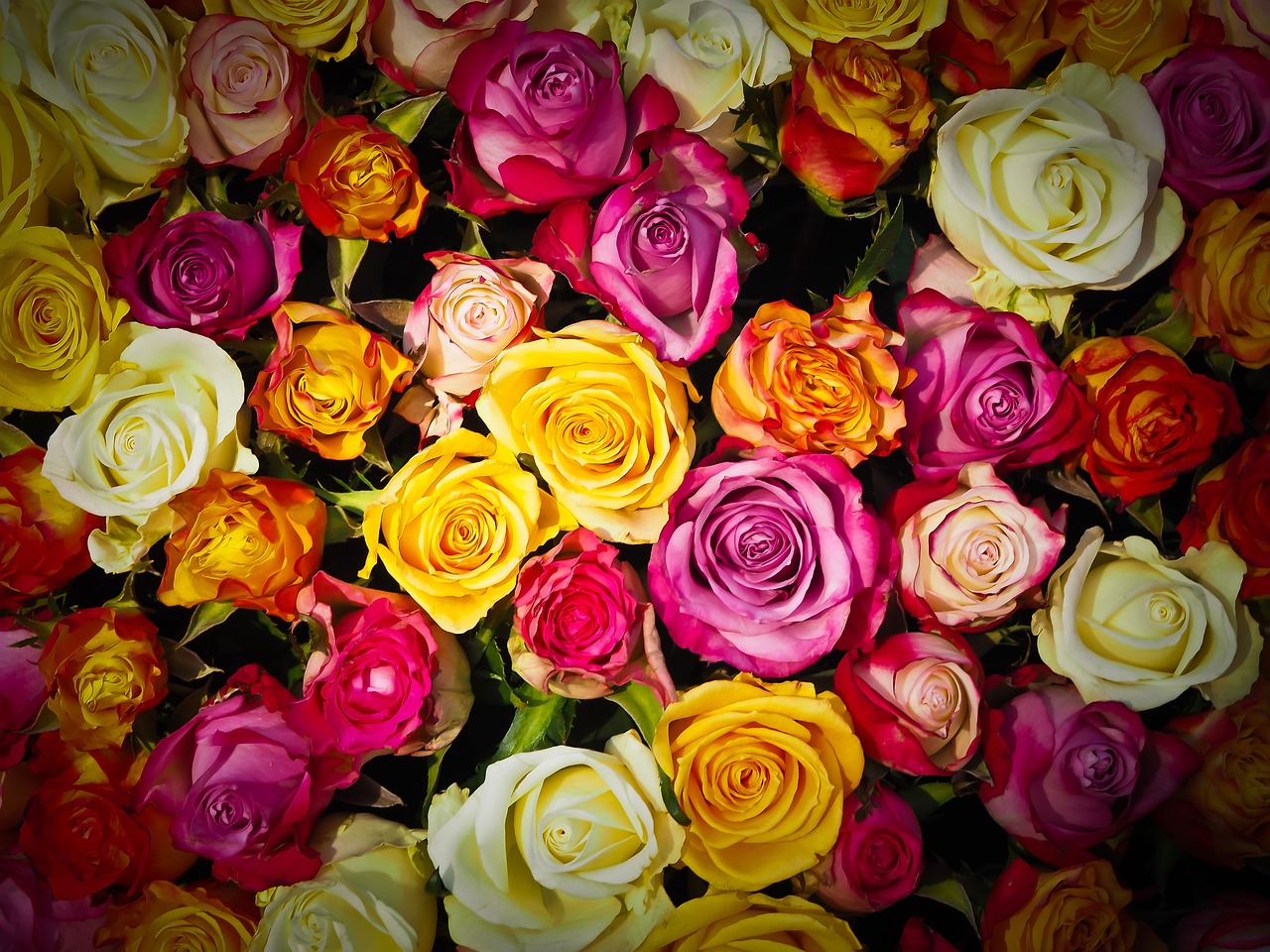 gifting flowers