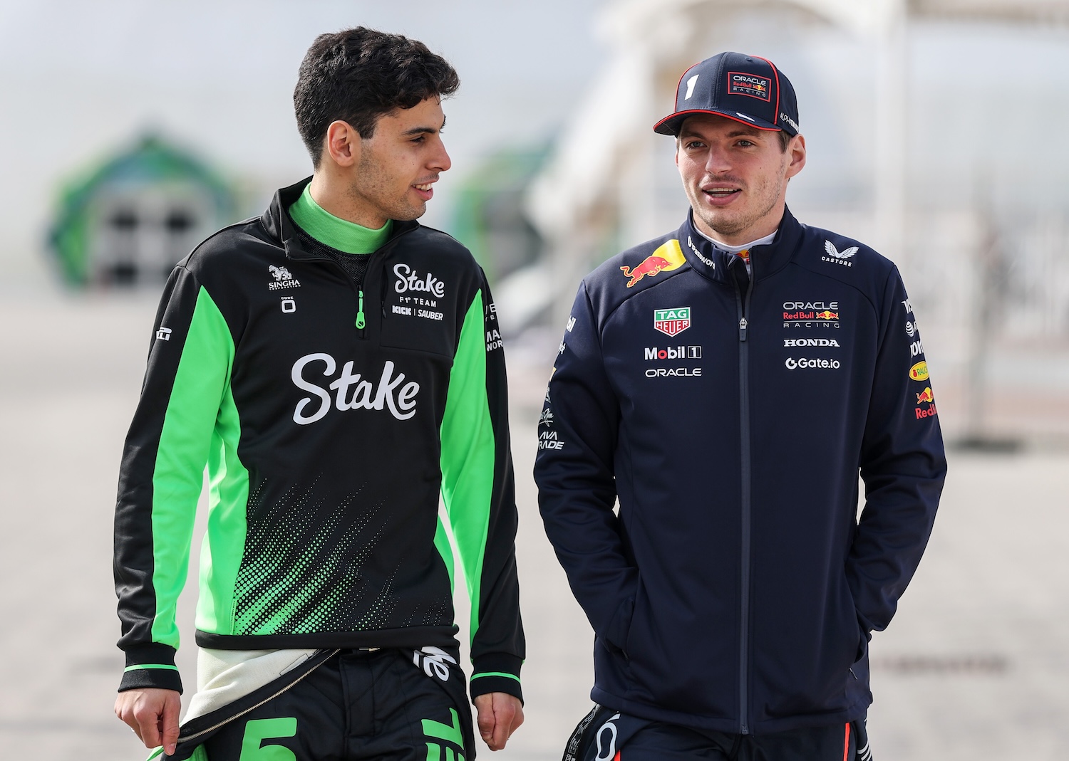 bortoletto and verstappen
